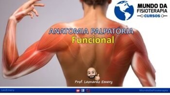 Anatomia Palpatória