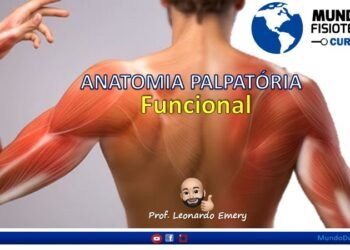 Anatomia Palpatória
