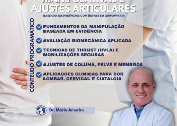TÉCNICAS MANIPULATIVAS E AJUSTES ARTICULARES , Baseado em Evidências e com Ênfase em Quiropraxia
